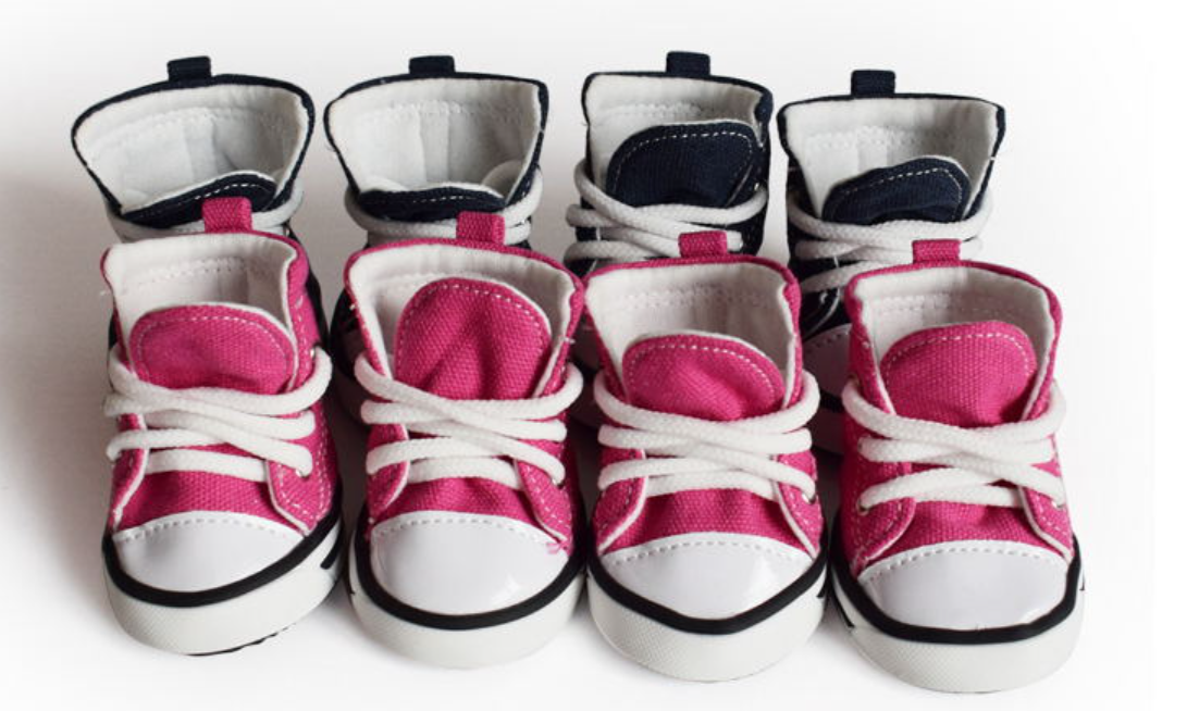 Pet Denim Canvas Shoes