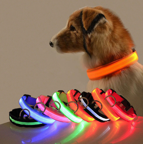Glow-in-the-Dark Pet Collar Image 1
