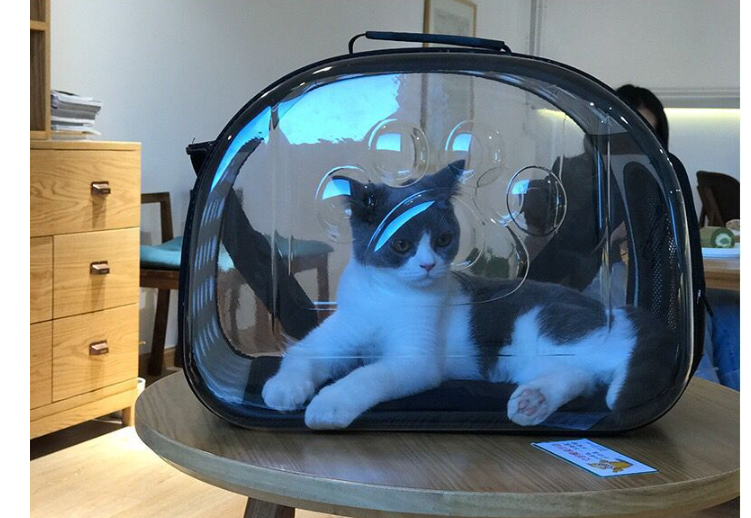 Pet Carrier Image 2