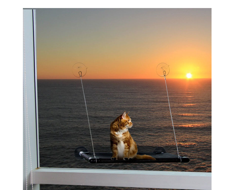 Cat Hammock Image 5