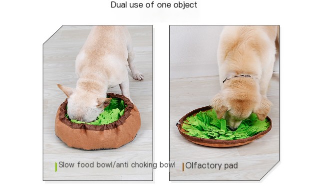 Pet Training Blanket Image 1