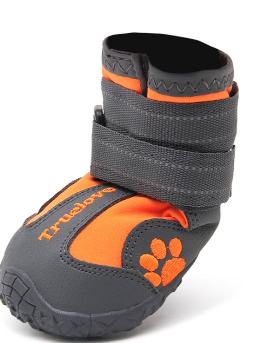 Dog Shoe 3