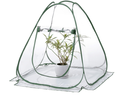 Foldable Greenhouse 5