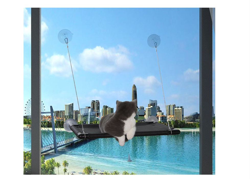 Cat Hammock Image 4