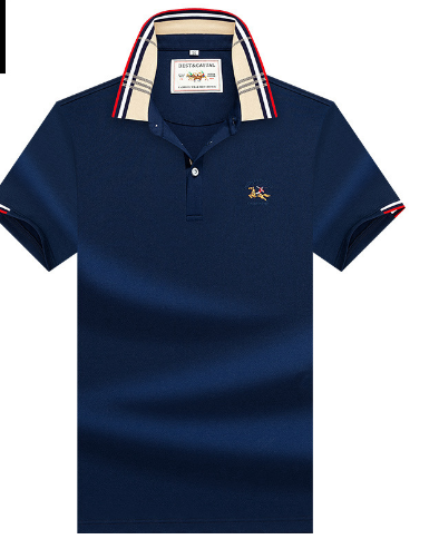 Premium Polo Shirt Image 1