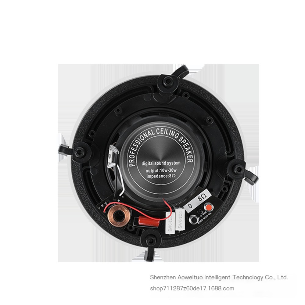 Ceiling Speaker 2