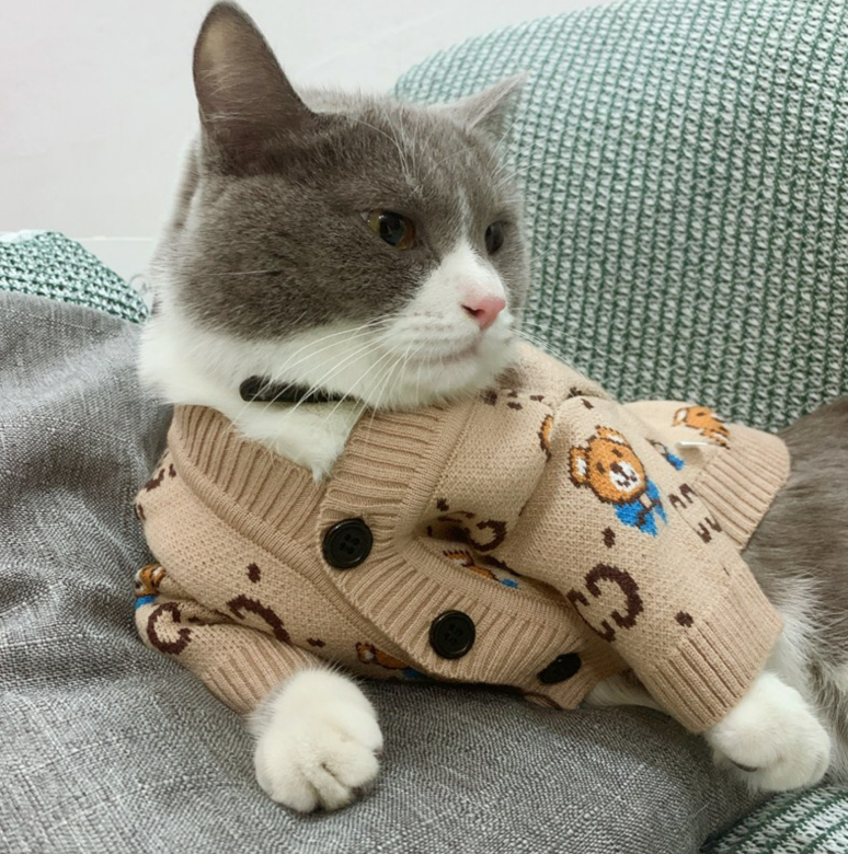 Pet Teddy Schnauzer Pomeranian Sweater Cardigan Image 2
