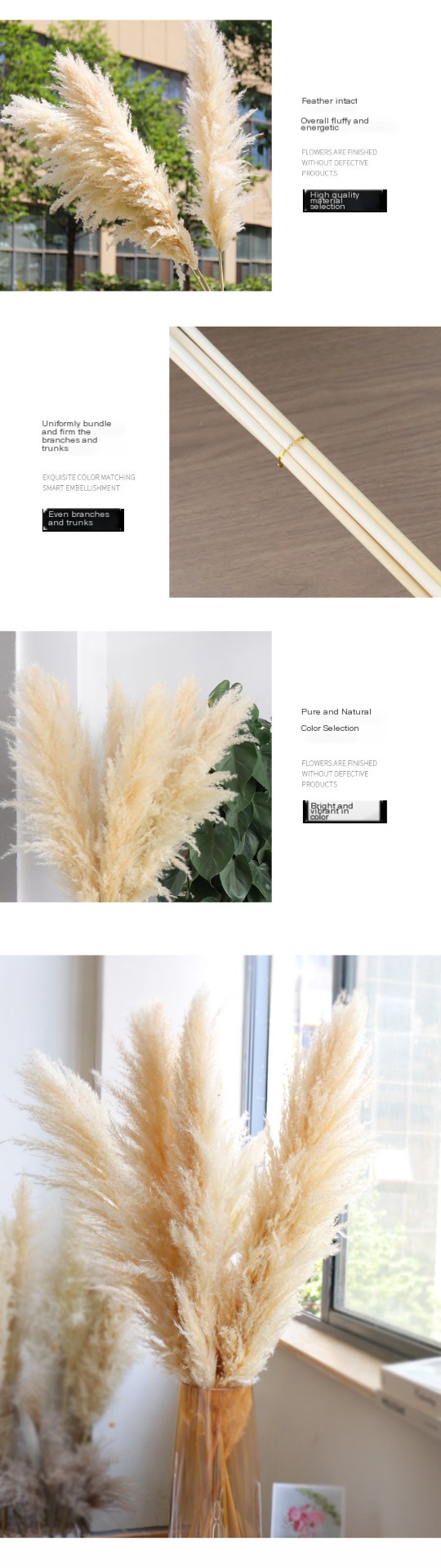 Beige Pampas Grass