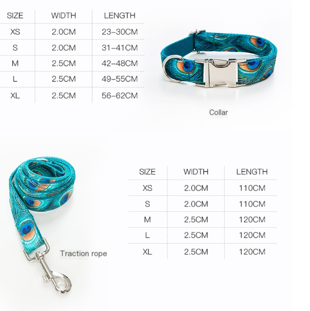 Peacock Dog Collar Leash Bow Set