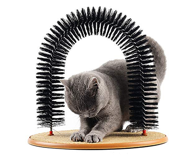 Grooming and Playtime