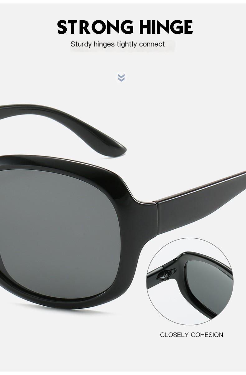 3113 Polarized Sunglasses 5