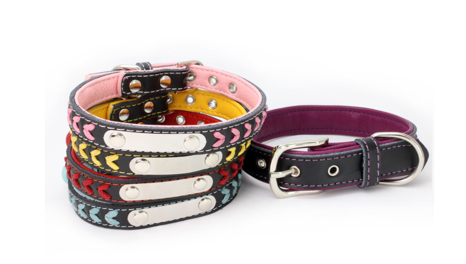 Colorful Dog Collar