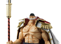 White Beard Figure 5