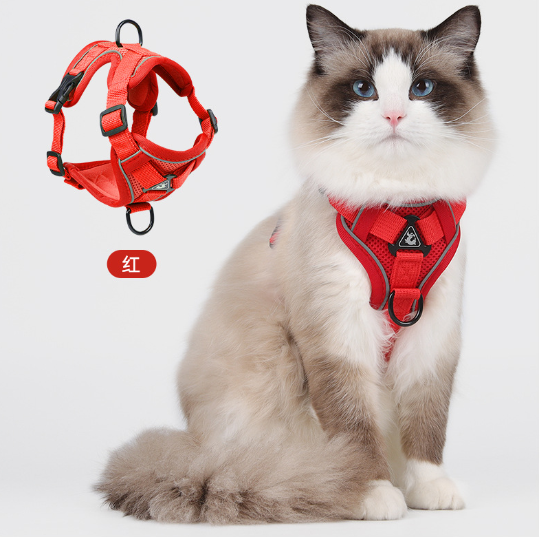 Cat Harness 5