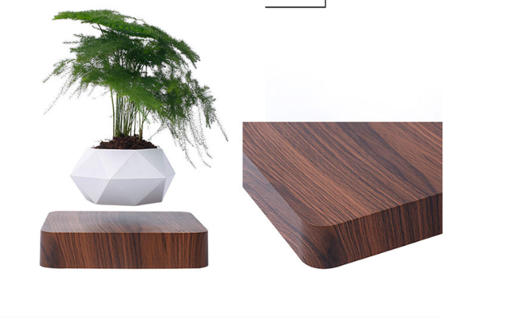 Magnetic Levitation Flowerpot 5