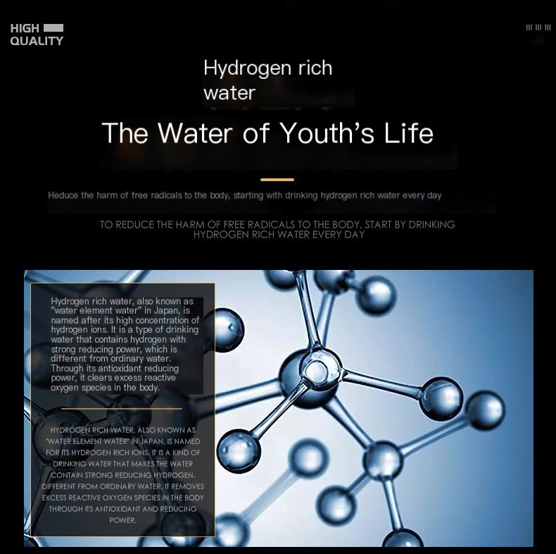 Hydrogen Water Bottle Purple