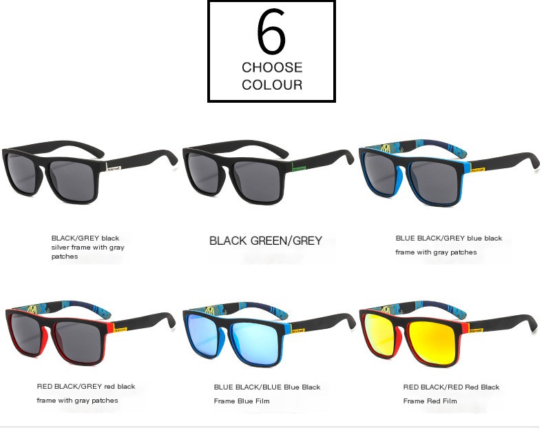 Polarized Sunglasses 2