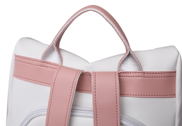 Bicolor Backpack Features