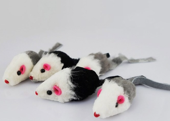 Cat Toy Set Image 4