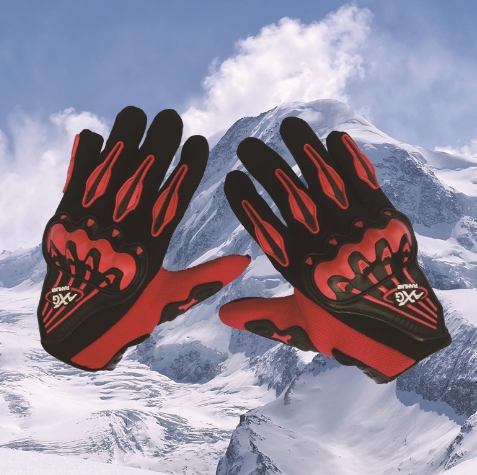 Motorcycle Gloves