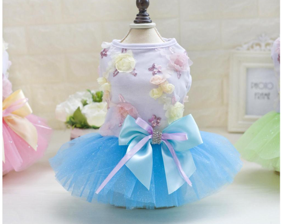 Dog in a sky blue skirt