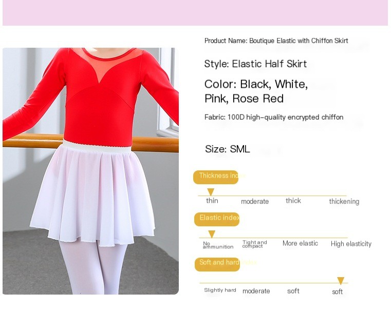 Chiffon Skirt 2