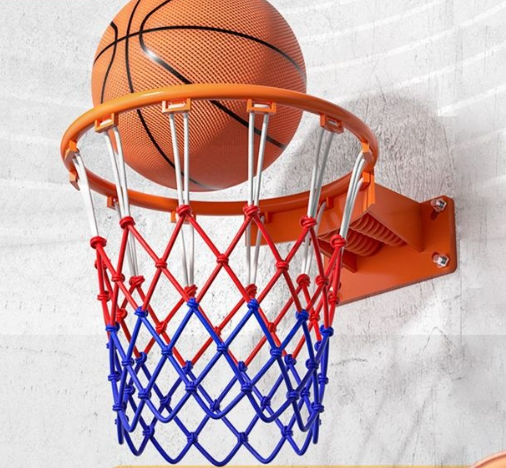 Basketball Hoop in Use