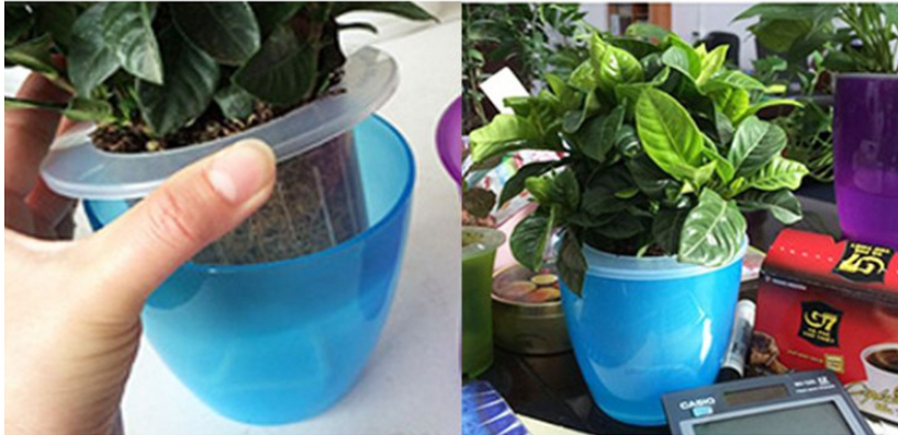 Planter in Different Colors