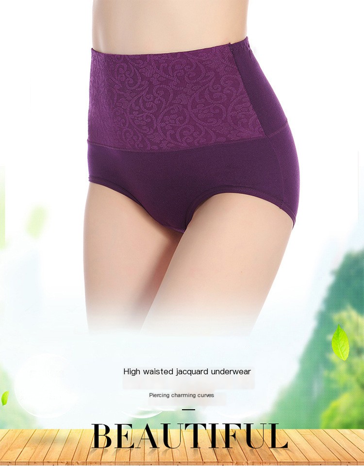 High Waisted Briefs