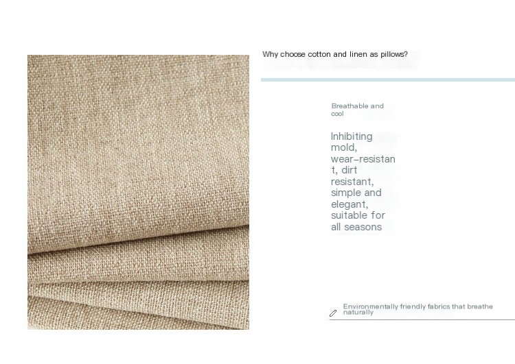 Cushion Cover Image 4