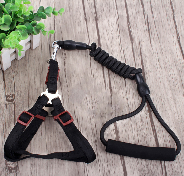 Different Colors of Pet Leash