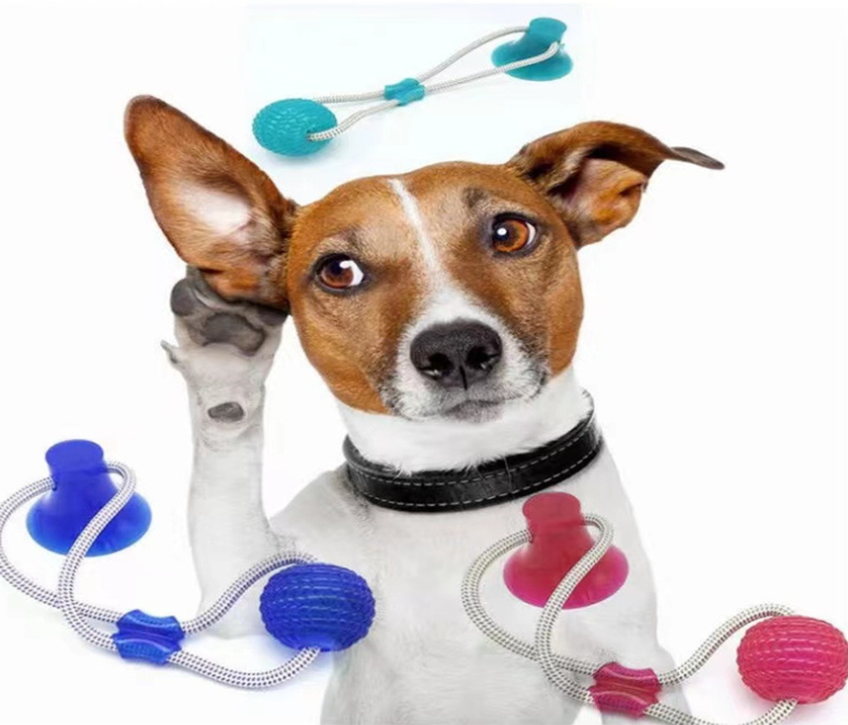 Imagen 4 de un juguete para perros