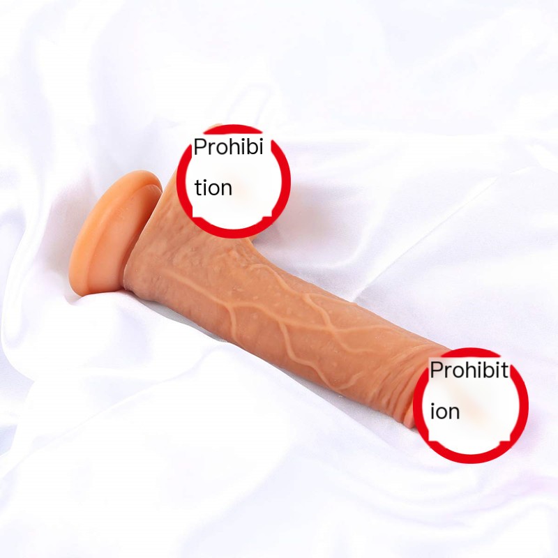 Vibrator Image 2