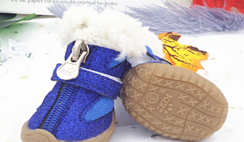 Pet Shoes Blue