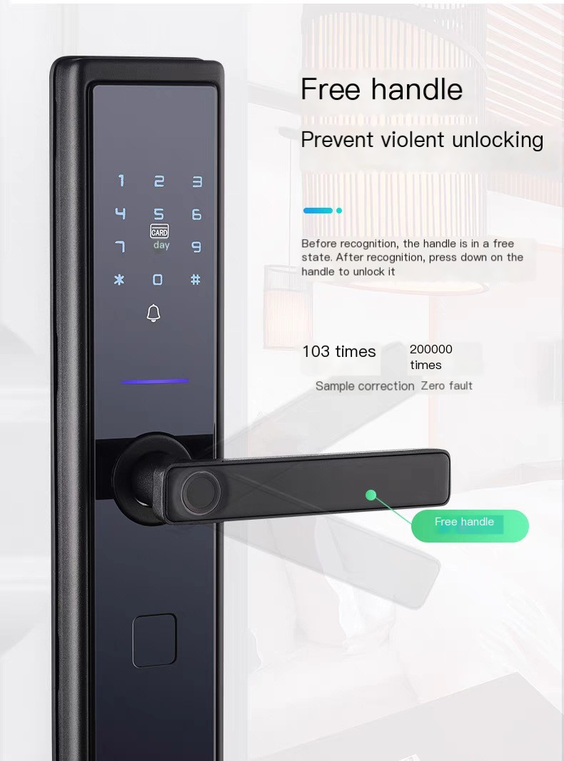 Graffiti WIFI Home Security Door Password Fingerprint Lock Apartment Homestay Remote Management All Lock TTLOCK Door Lock