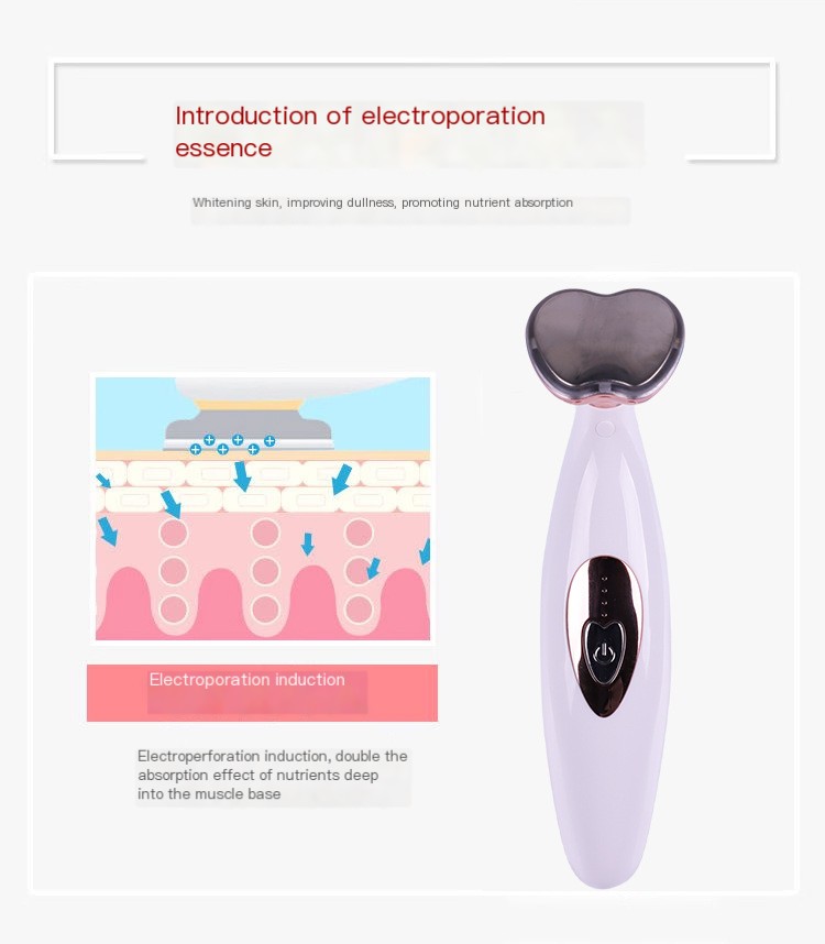 Beauty Device Image 2