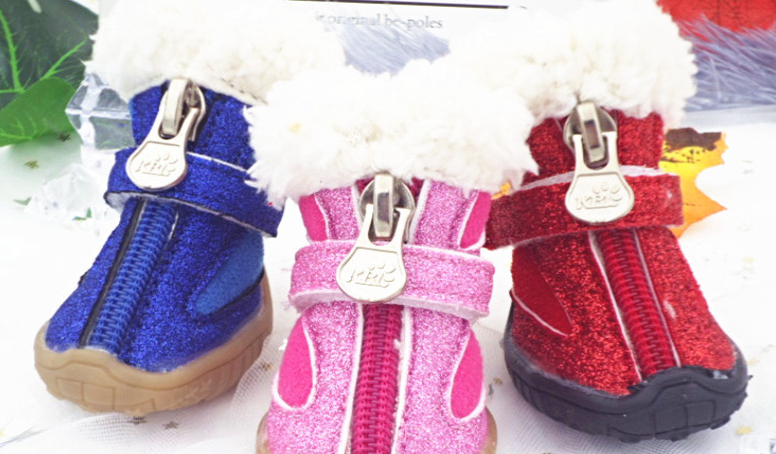Pet Shoes Variety