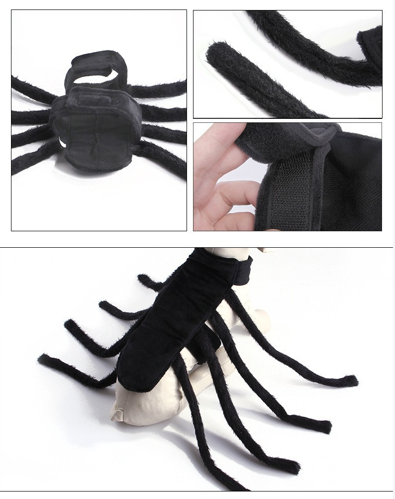 Pet Costume 4