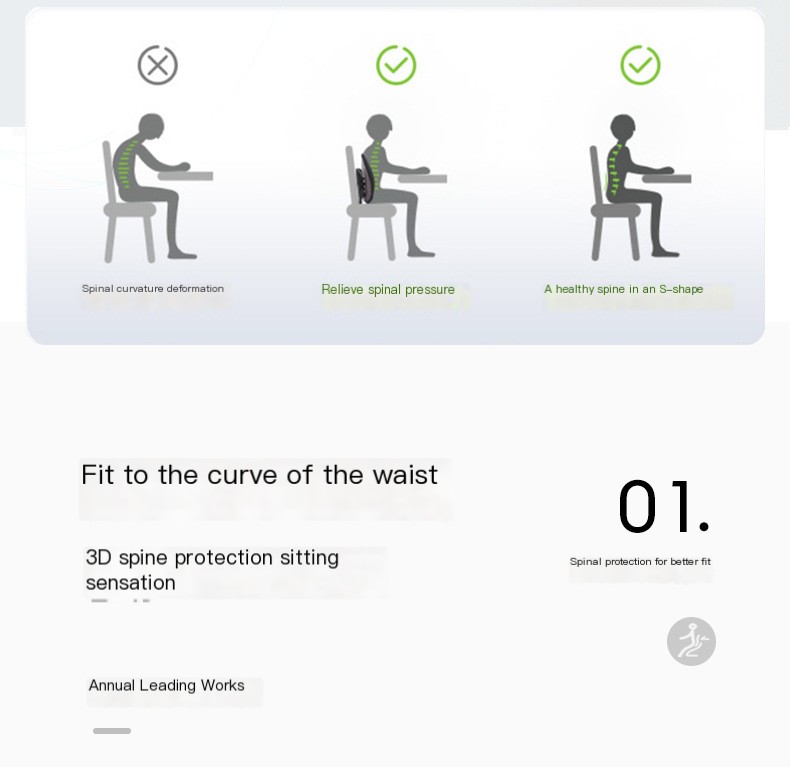 Lumbar Cushion Image 3