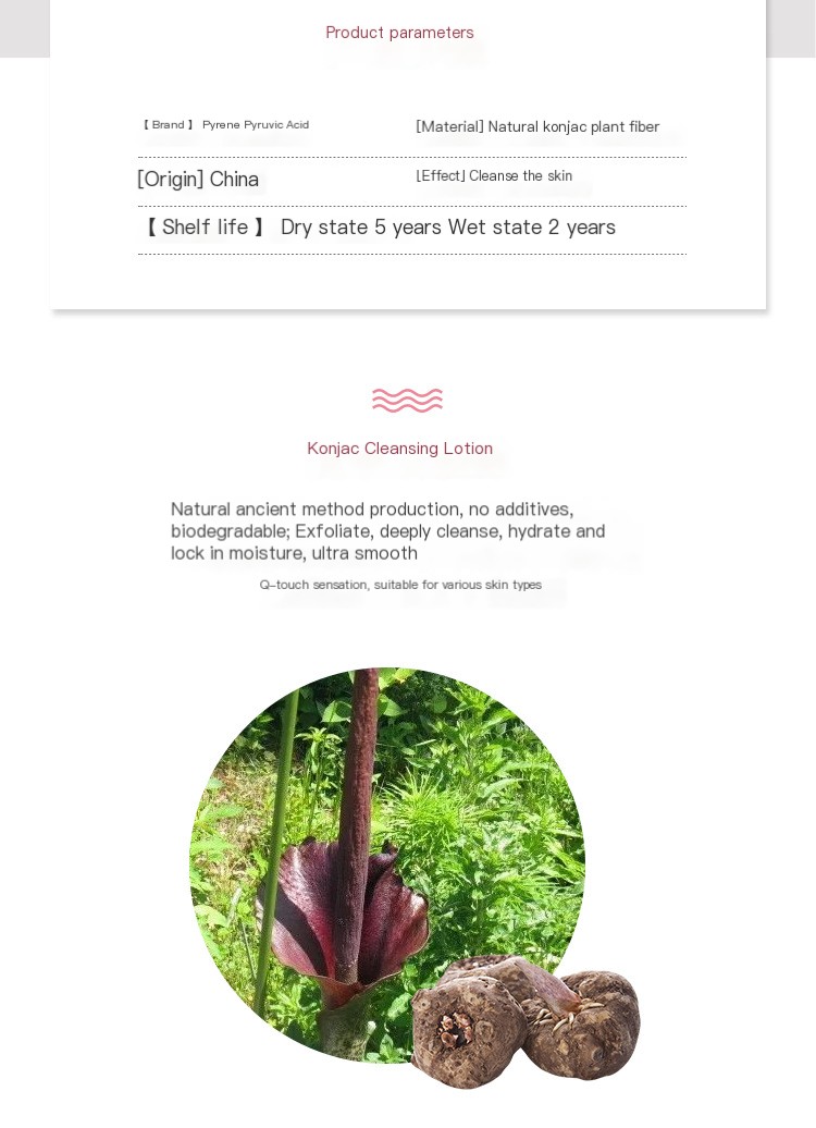 Cleansing Sponge Image 1