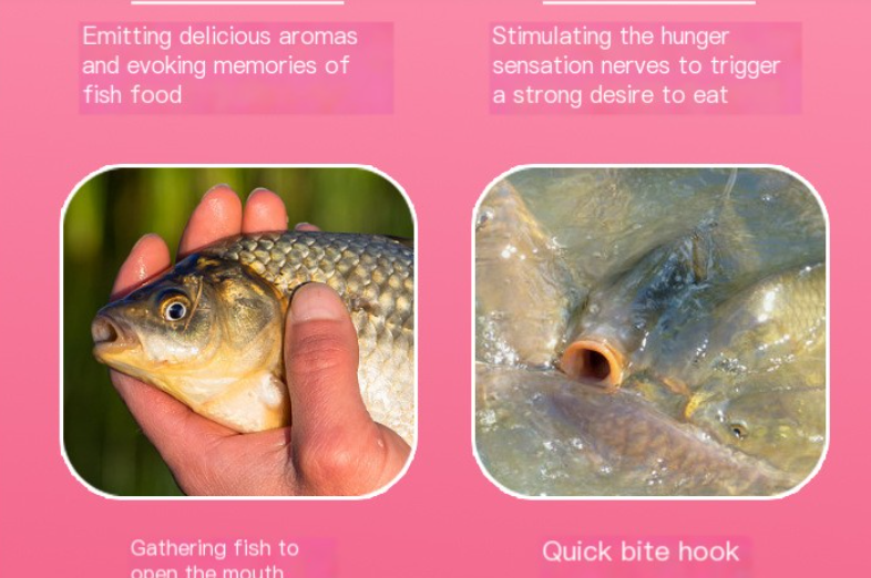 S Fish Attractant Image 5