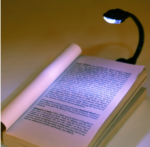 Petal Lamp