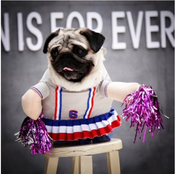 Pet Apparel Image 2