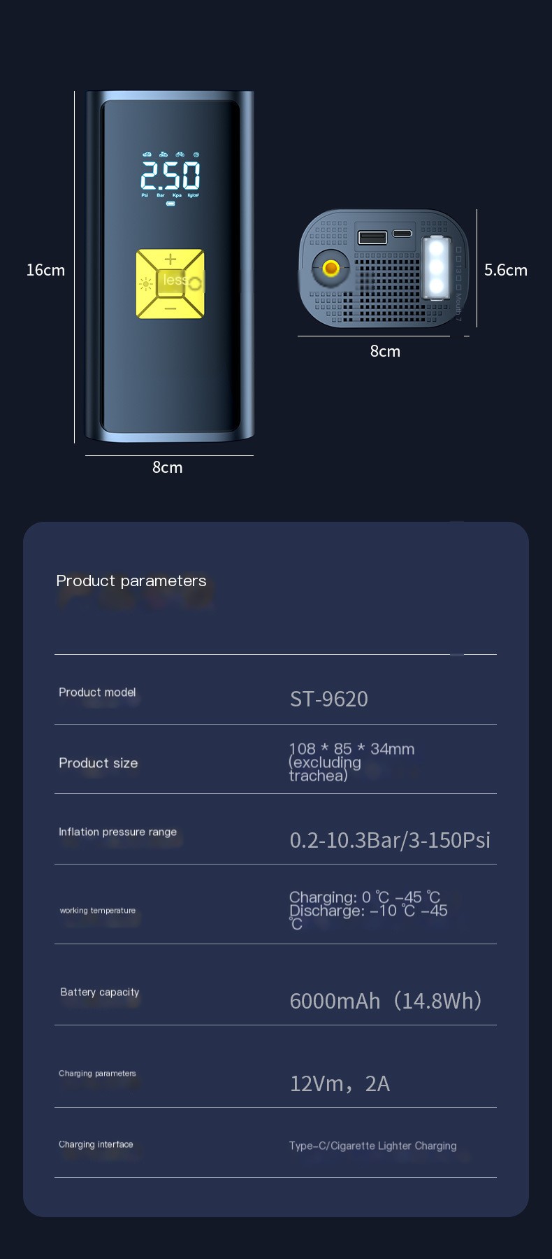 POWERCLEANY™ Electric Air Pump