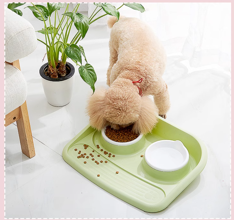 Pet Bowl Blue