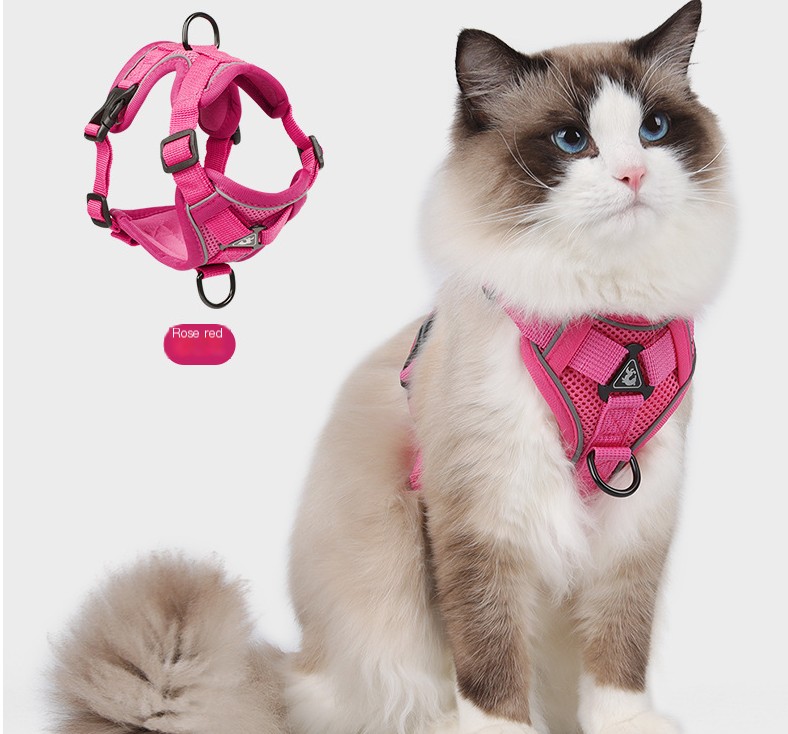 Cat Harness 4
