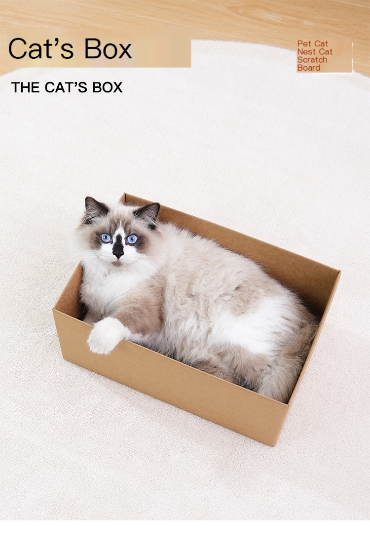 Cat House Image 1