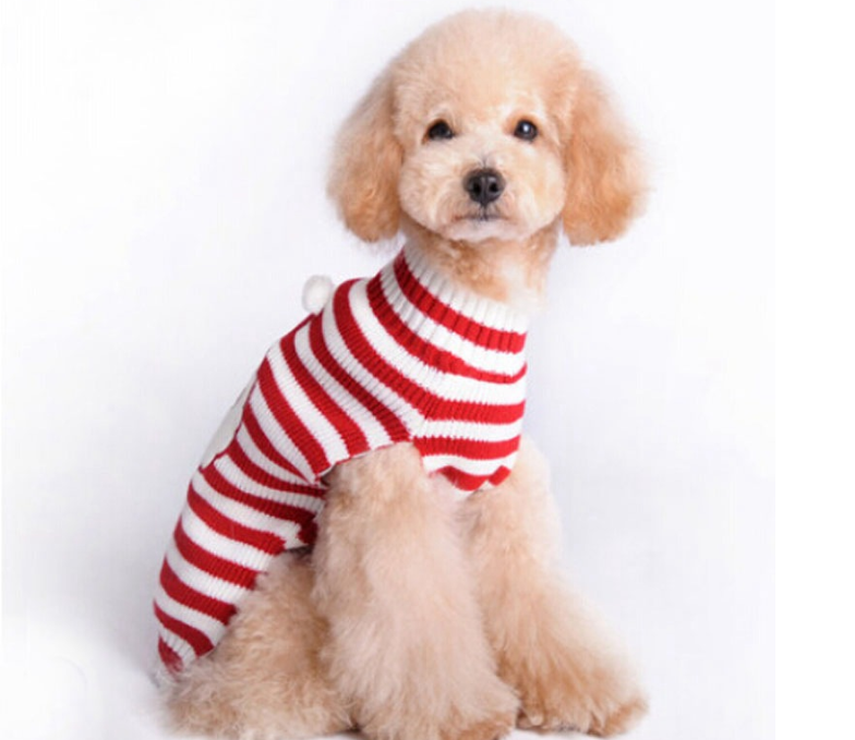 Christmas Dog Clothes 3