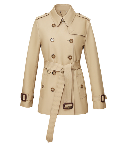 Trench Coat Image 4