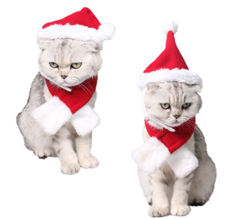 Christmas Pet Set - Image 2
